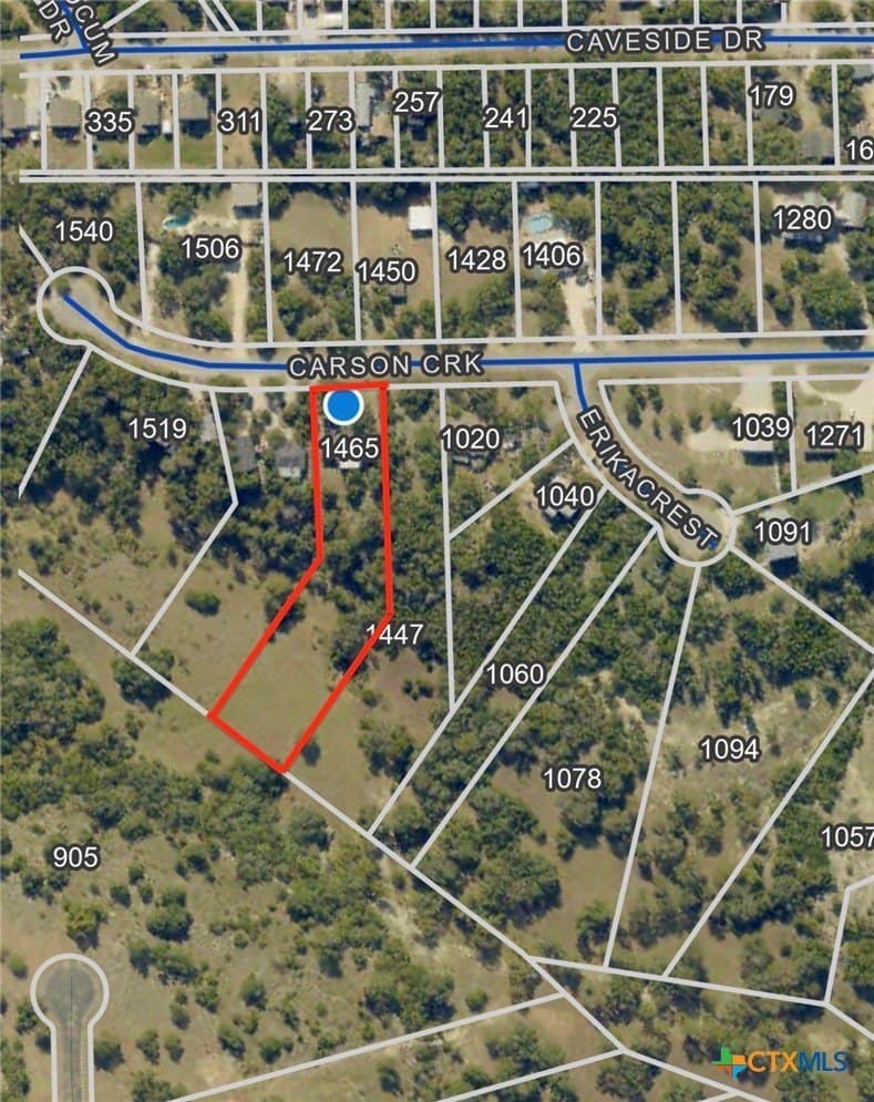 1.41 acres in Comal County - photo 6