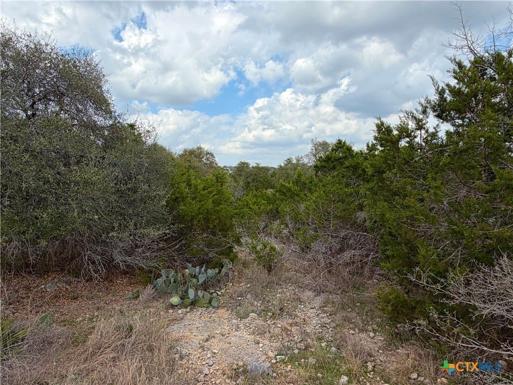 1.41 acres in Comal County - photo 9