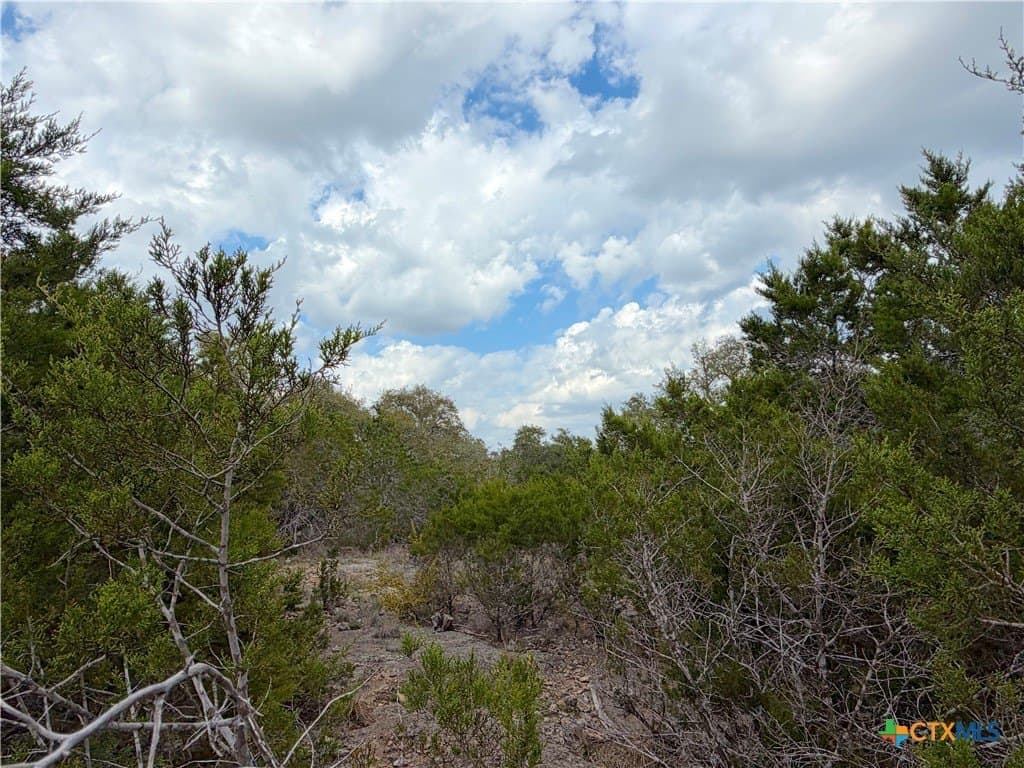 1.41 acres in Comal County featured view