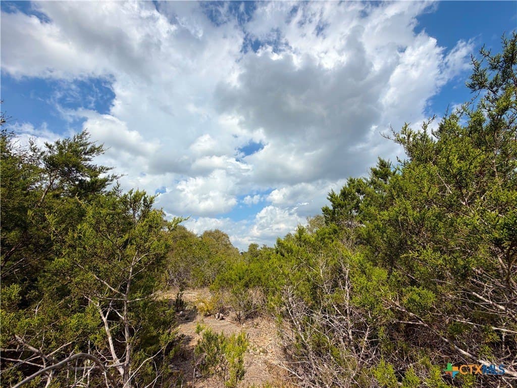 1.41 acres in Comal County gallery image 4