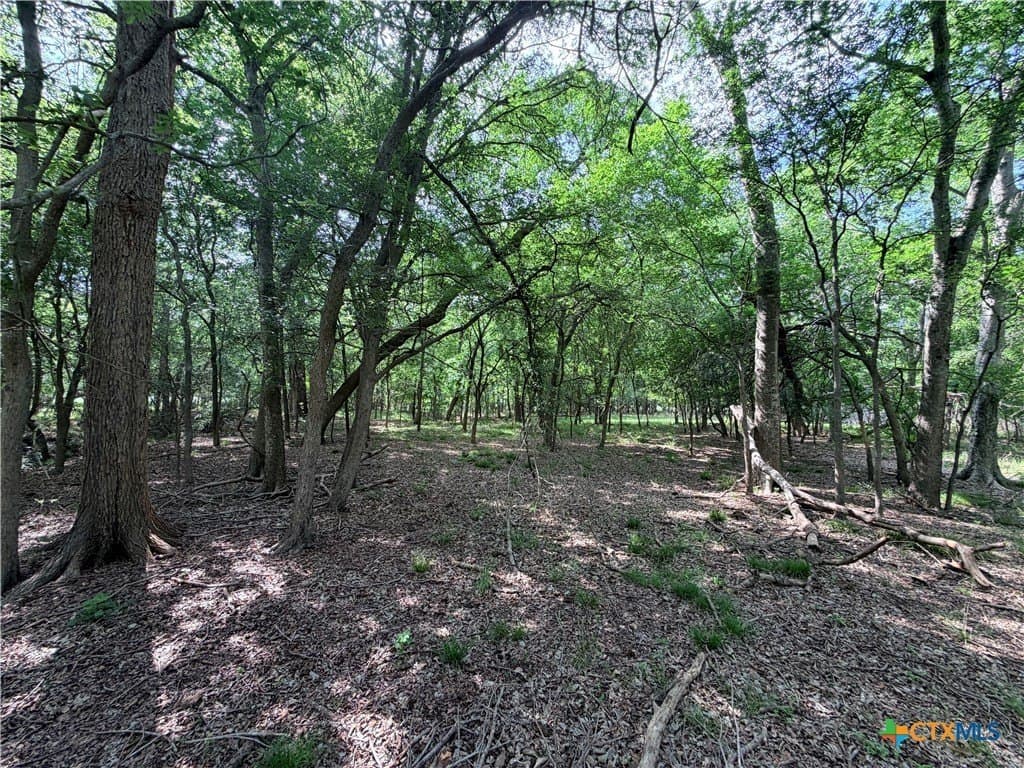 11.97 acres in Caldwell County - photo 13