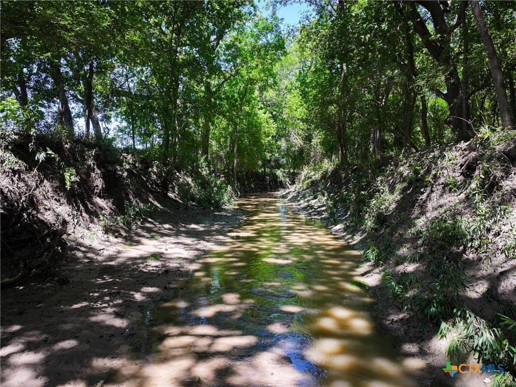 11.97 acres in Caldwell County - photo 7