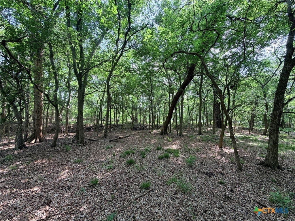 11.97 acres in Caldwell County - photo 14