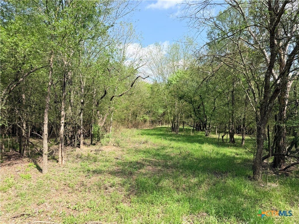 11.97 acres in Caldwell County featured view