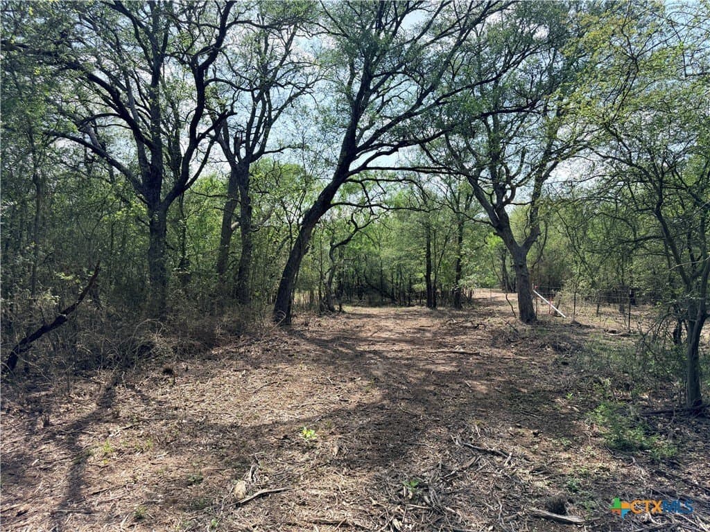 11.97 acres in Caldwell County gallery image 4