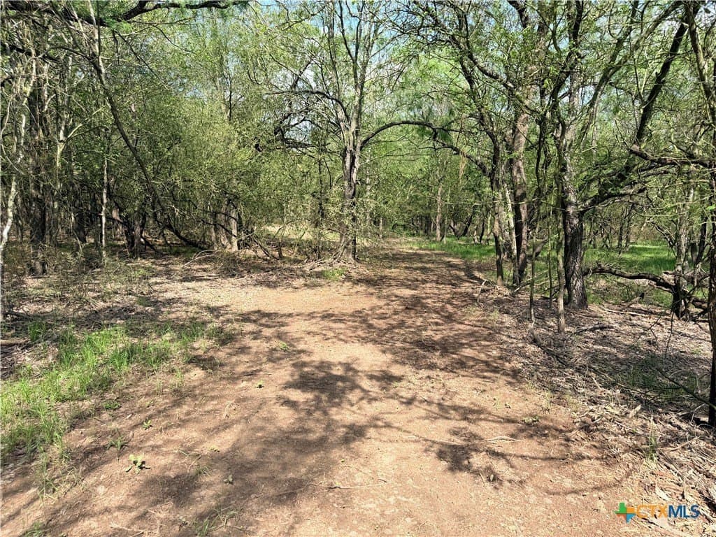 11.97 acres in Caldwell County - photo 8