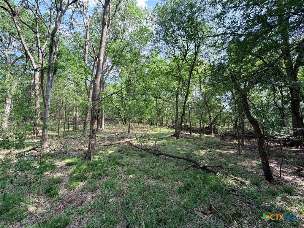 11.97 acres in Caldwell County - photo 15
