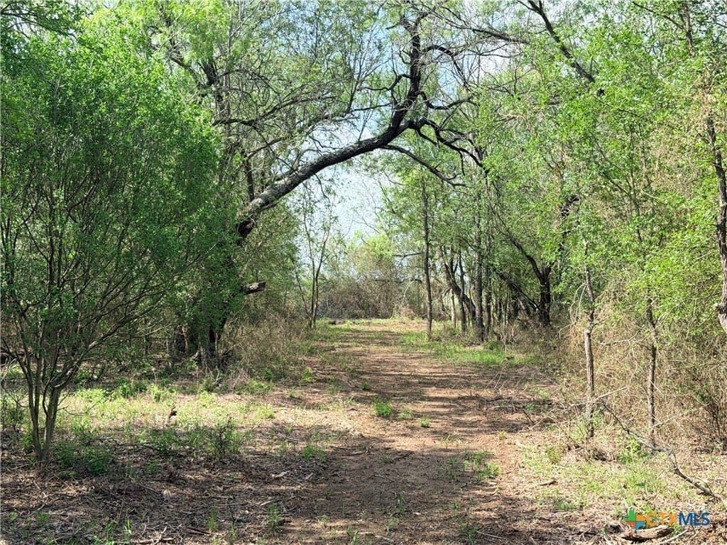 11.97 acres in Caldwell County gallery image 4