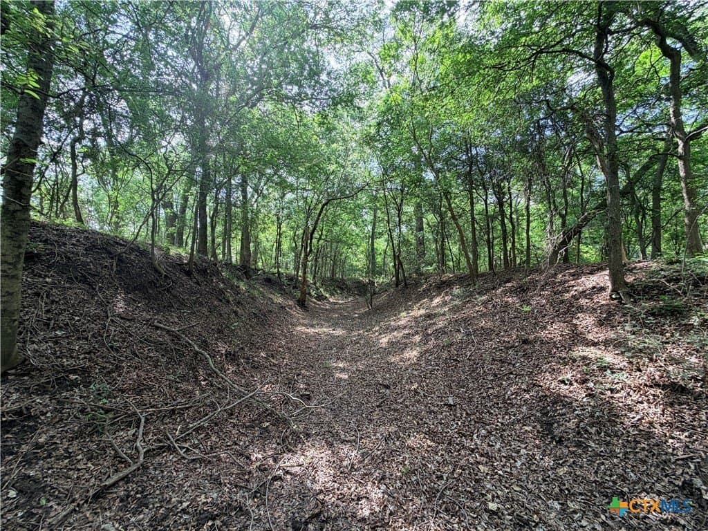 11.97 acres in Caldwell County - photo 11