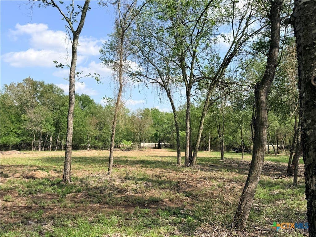 11.97 acres in Caldwell County gallery image 2