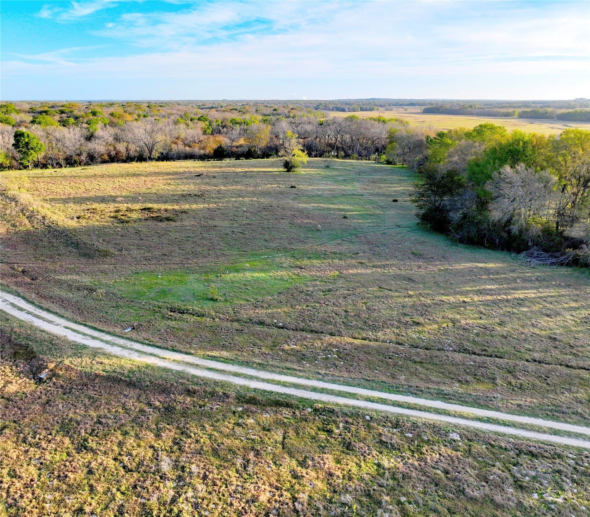 10 acres in Leon County - photo 9