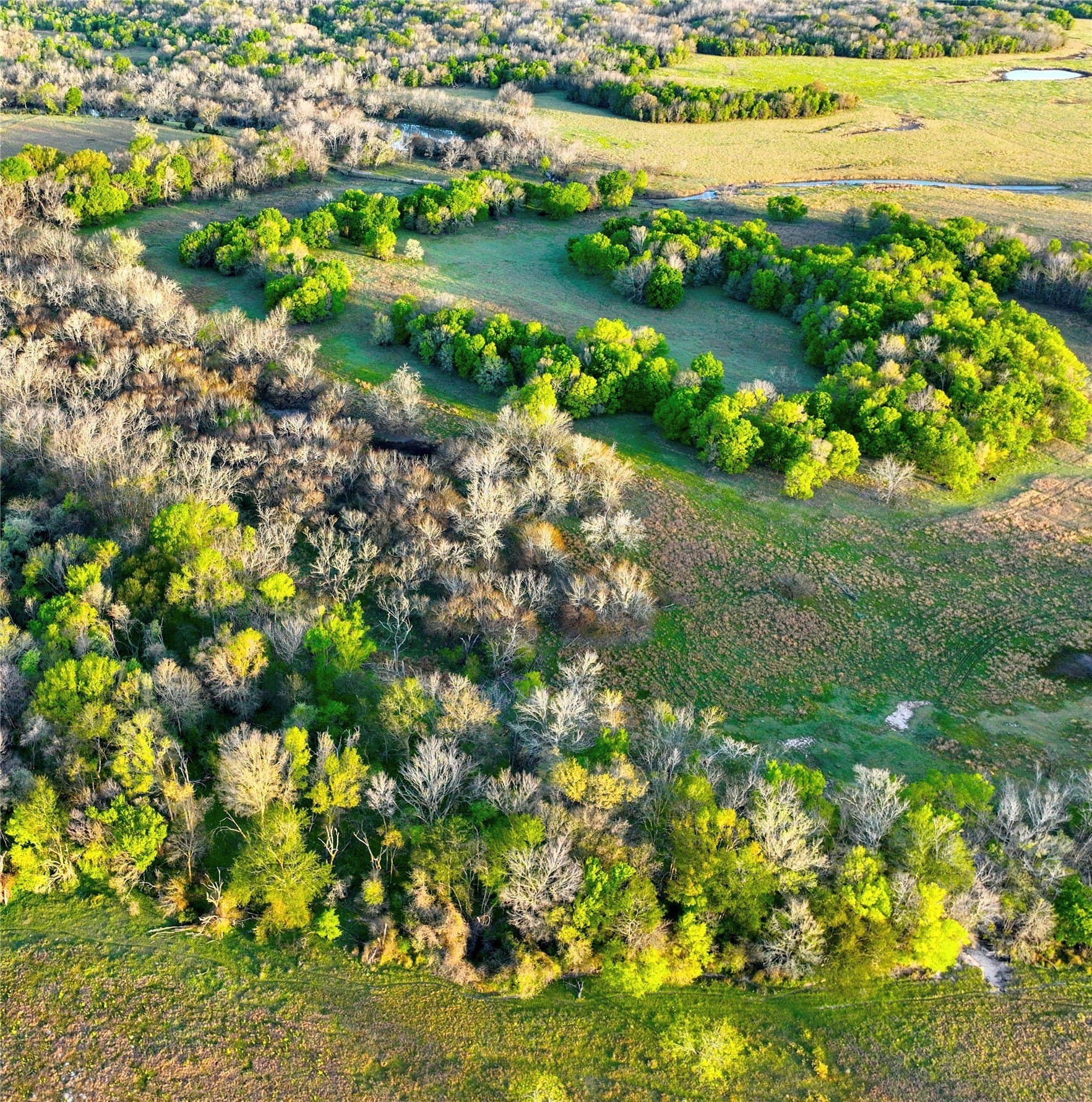 10 acres in Leon County - photo 8