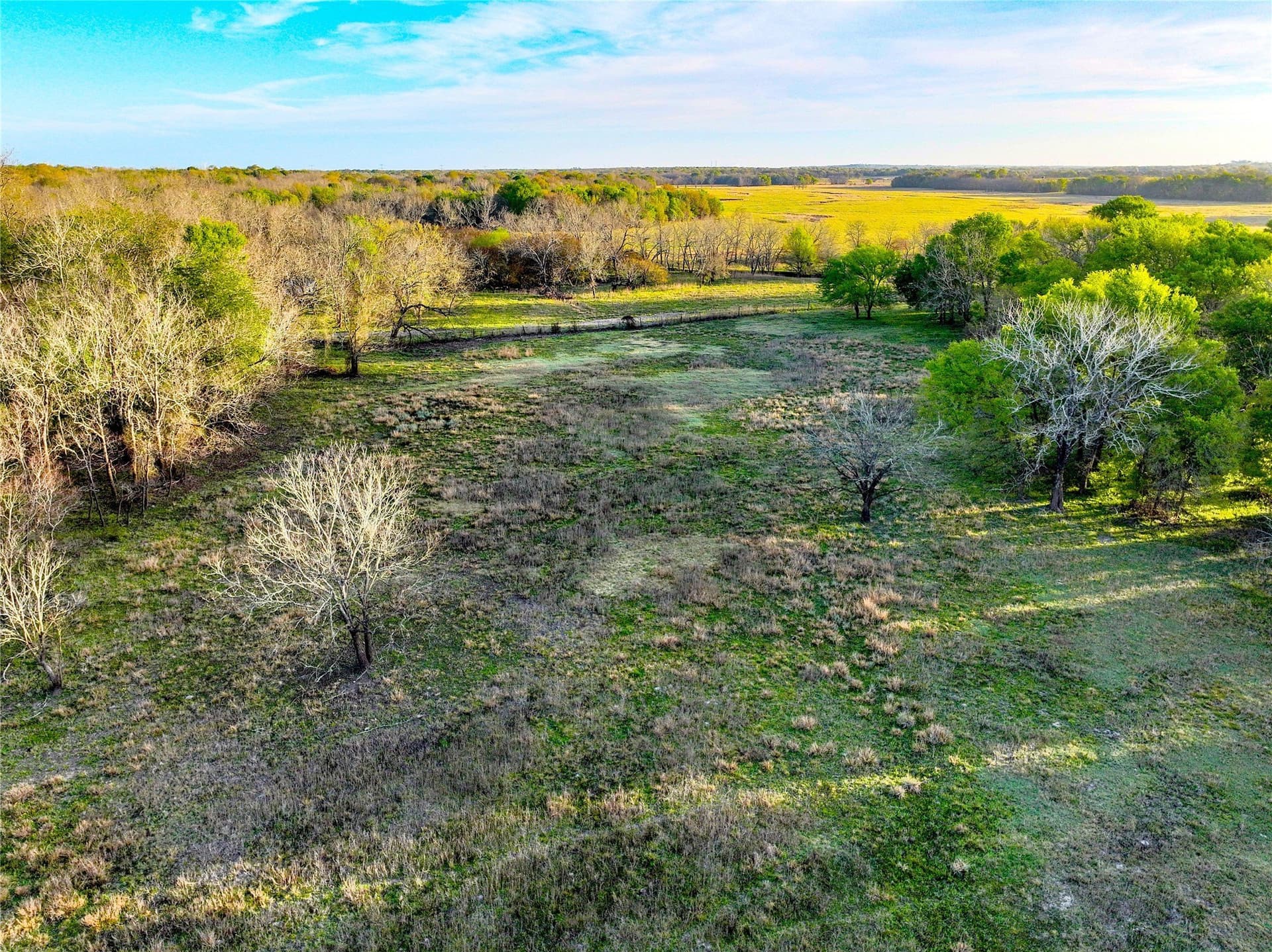 10 acres in Leon County - photo 6