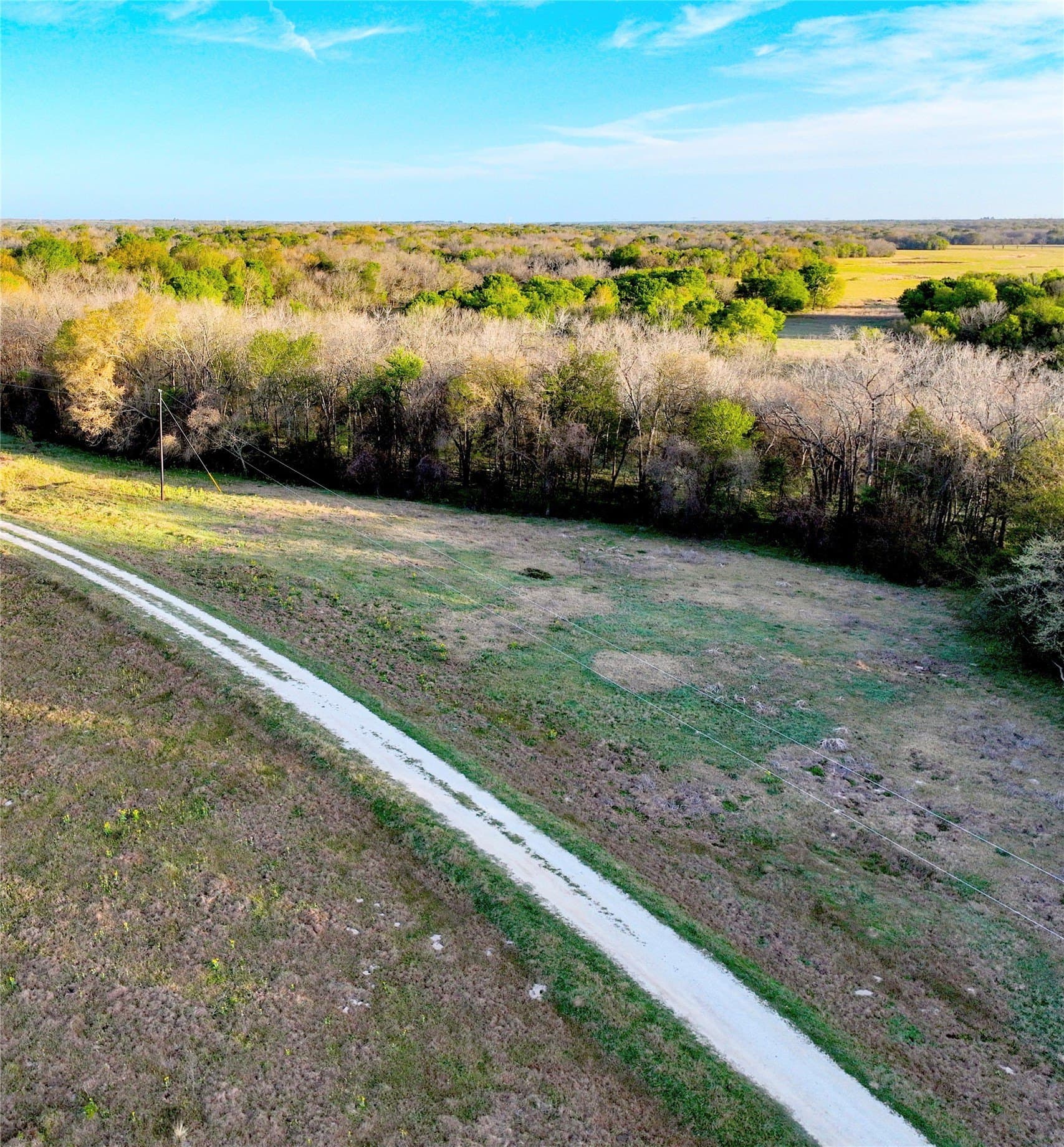 10 acres in Leon County - photo 10