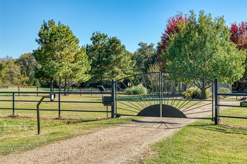 28.41 acres in Rains County gallery image 2