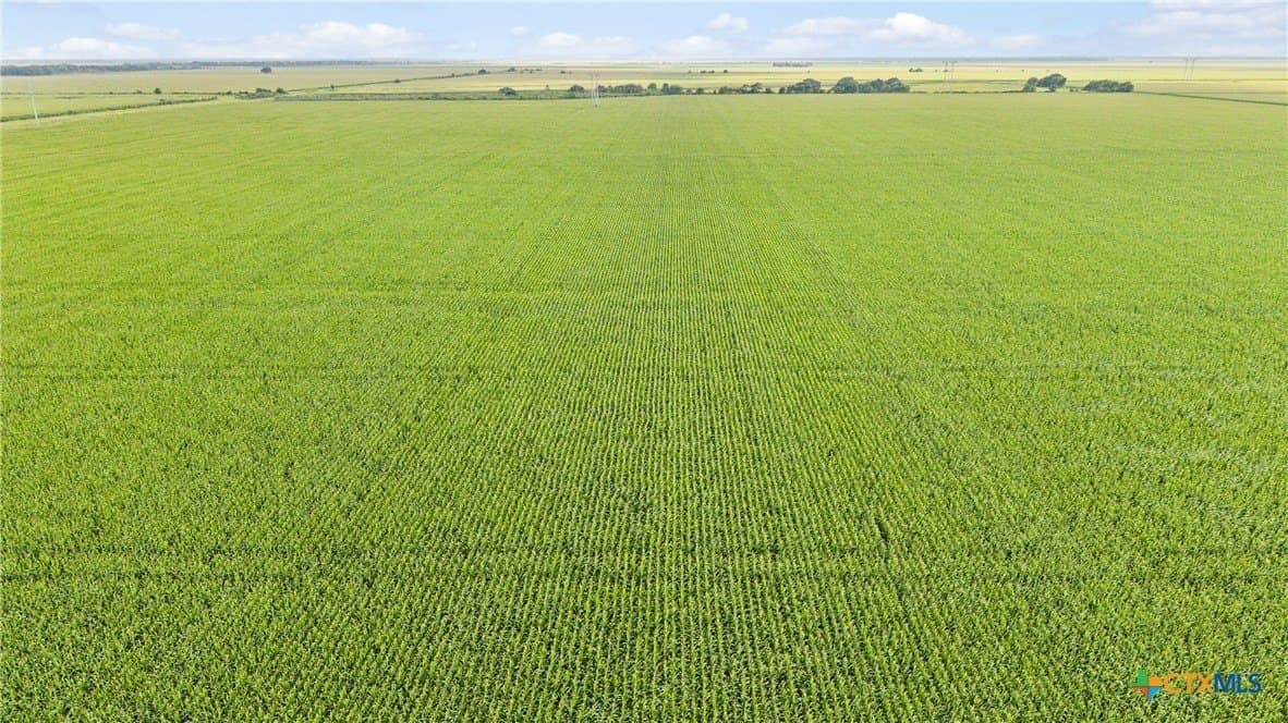 160.25 acres in Jackson County - photo 6
