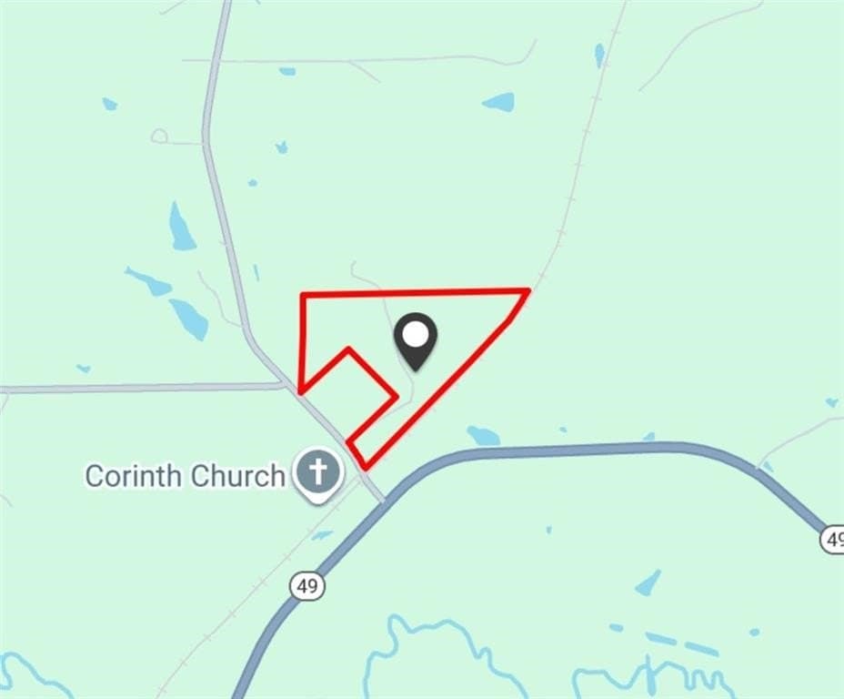 64.91 acres in Marion County gallery image 4