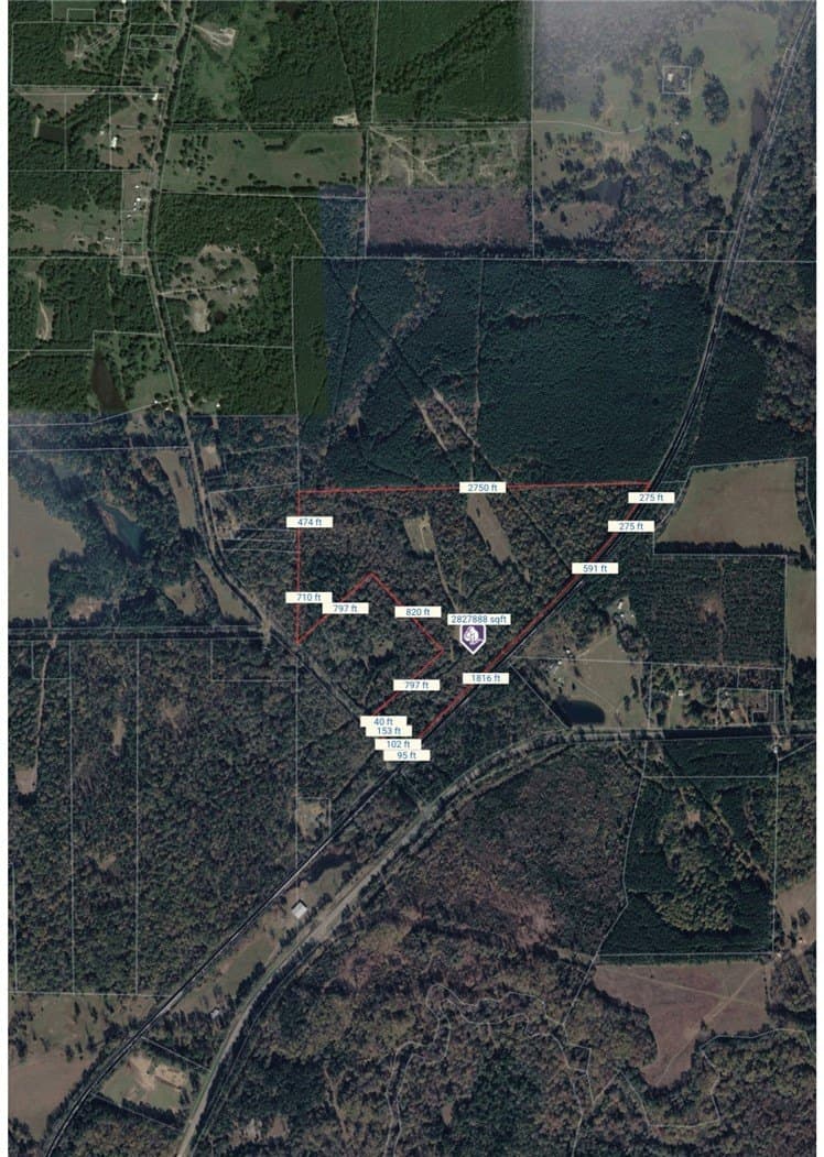64.91 acres in Marion County gallery image 3
