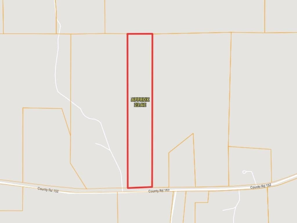 23 acres in Panola County - photo 6