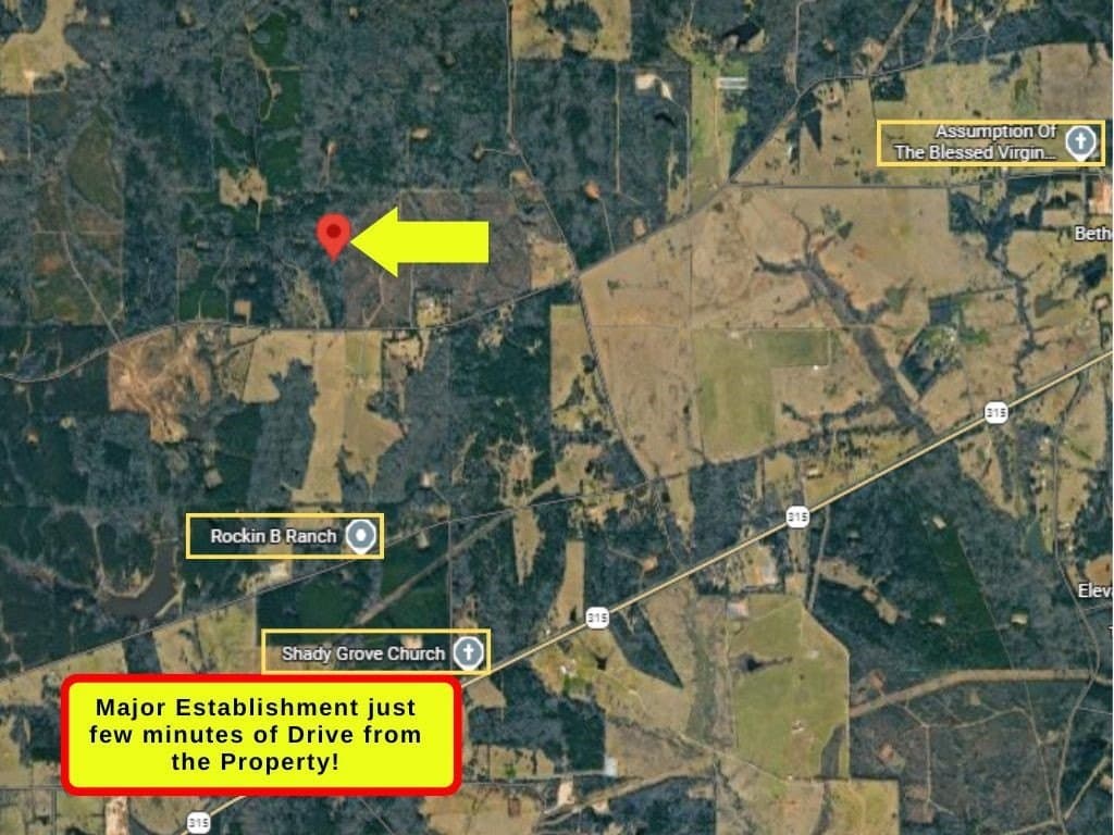 23 acres in Panola County - photo 7