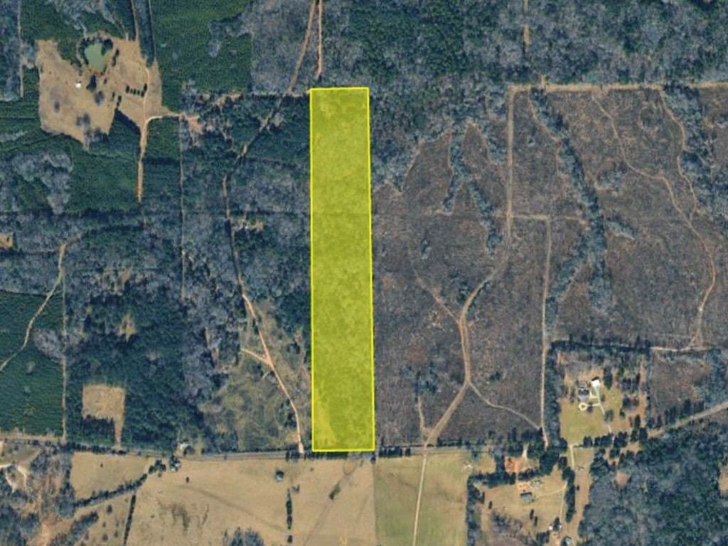23 acres in Panola County - photo 5