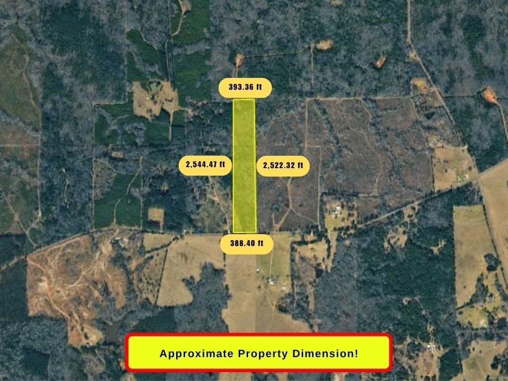 23 acres in Panola County - photo 4