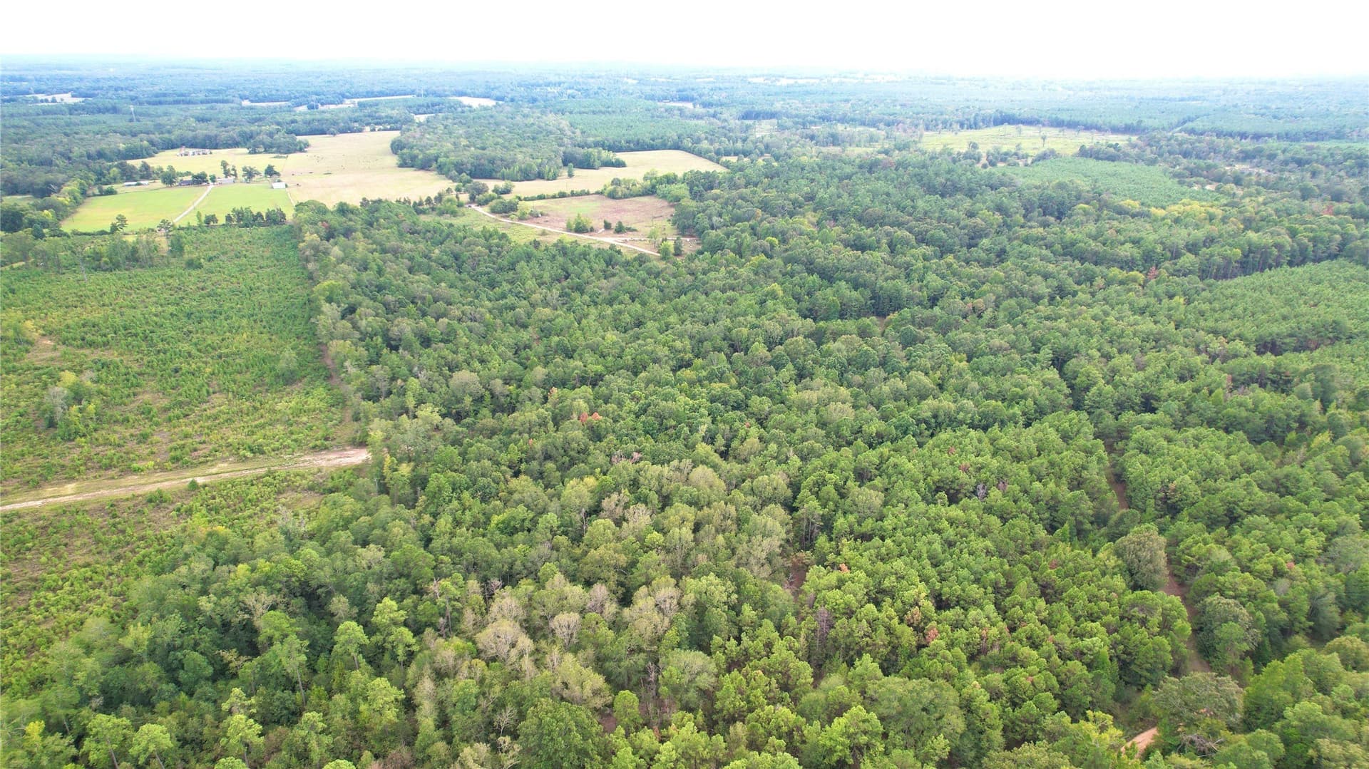 23 acres in Panola County - photo 3