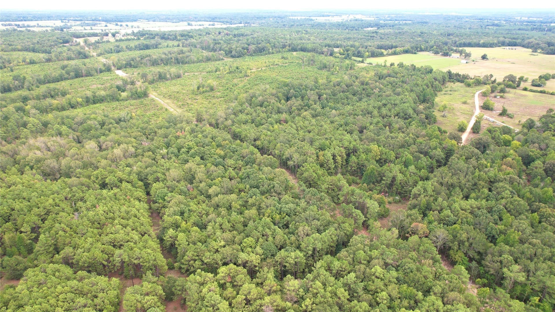 23 acres in Panola County - photo 2