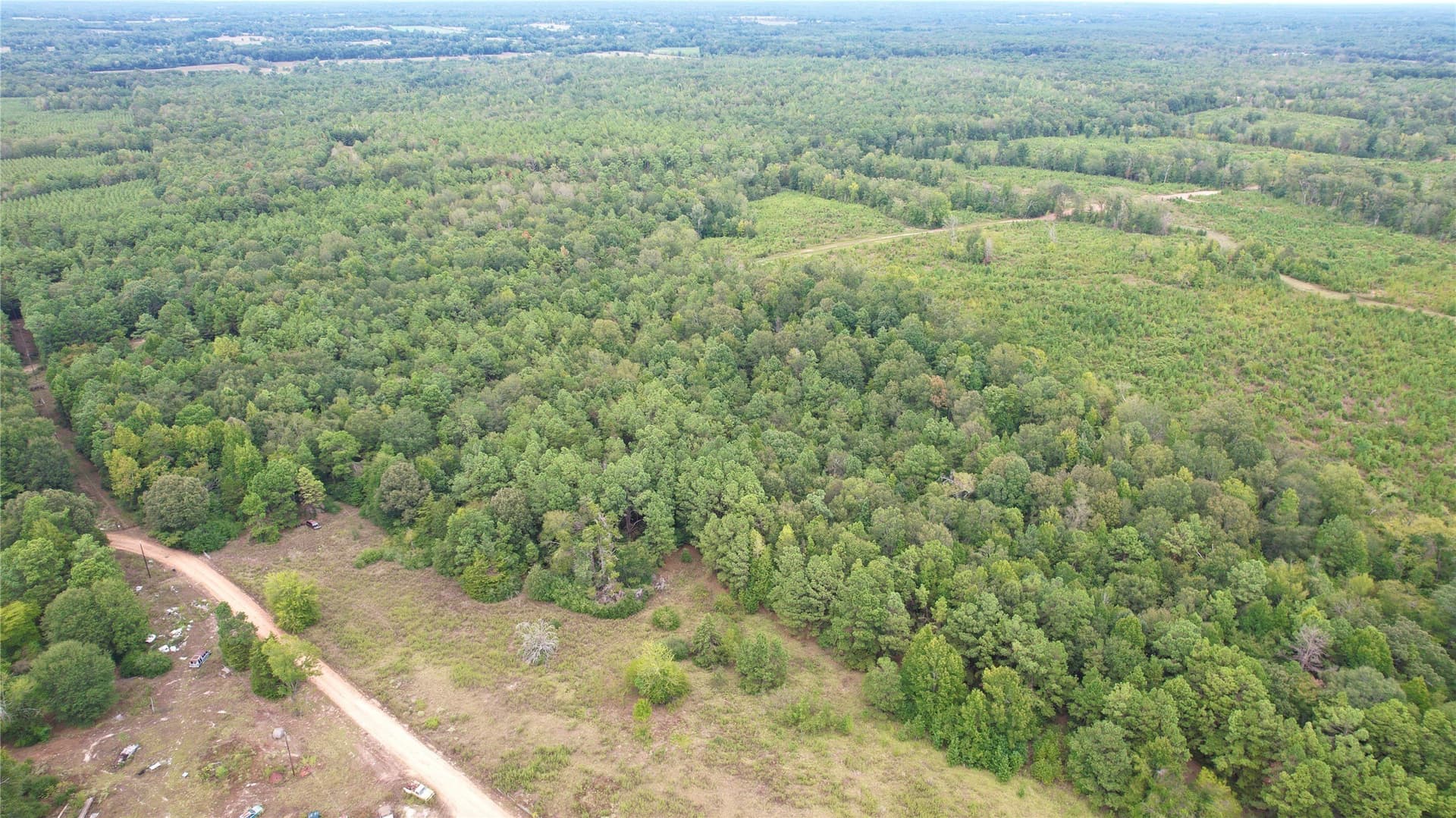 23 acres in Panola County - photo 7