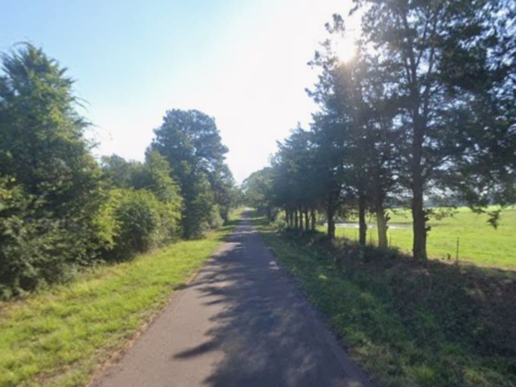 23 acres in Panola County - photo 3
