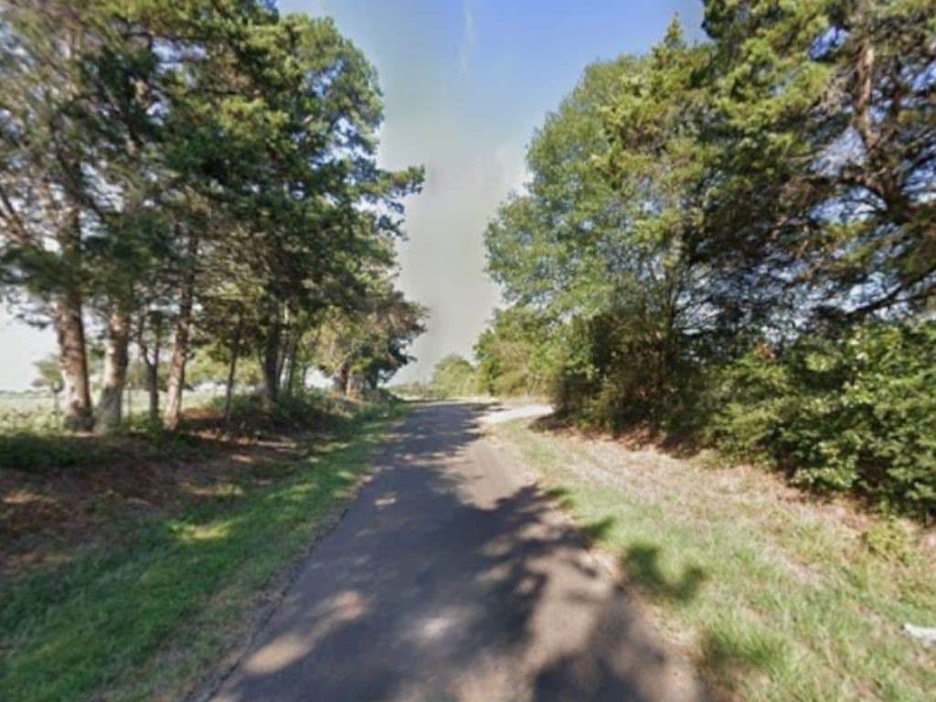 23 acres in Panola County - photo 2