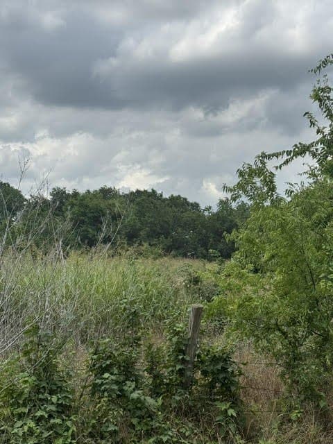 1.97 acres in Wise County gallery image 3