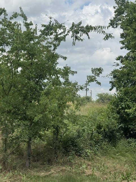 1.97 acres in Wise County gallery image 2