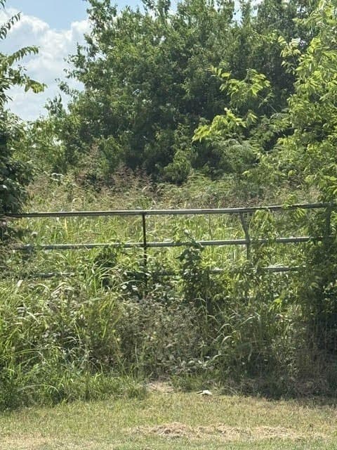 1.97 acres in Wise County gallery image 4