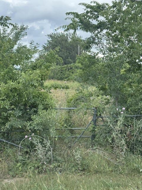 1.97 acres in Wise County featured view
