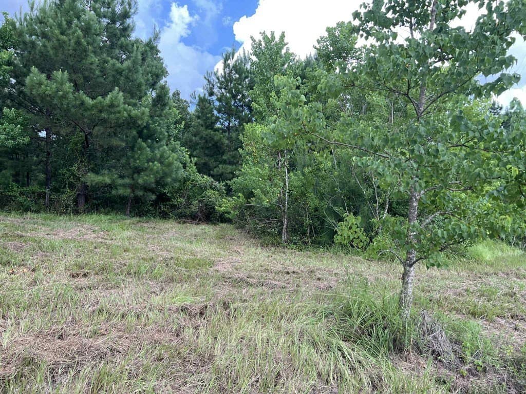 3 acres in Texas County gallery image 3