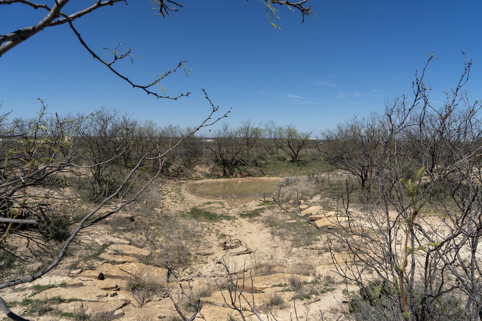 96.93 acres in Runnels County gallery image 4