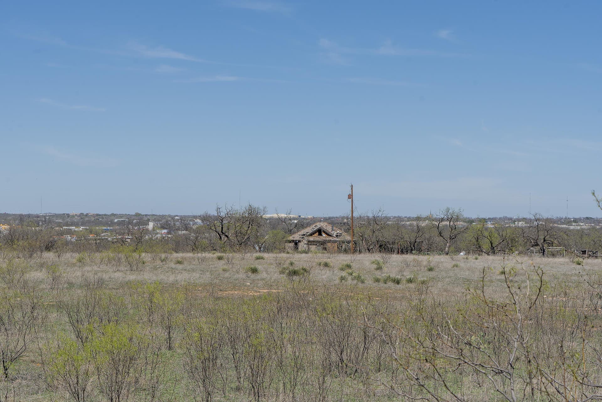 96.93 acres in Runnels County gallery image 3