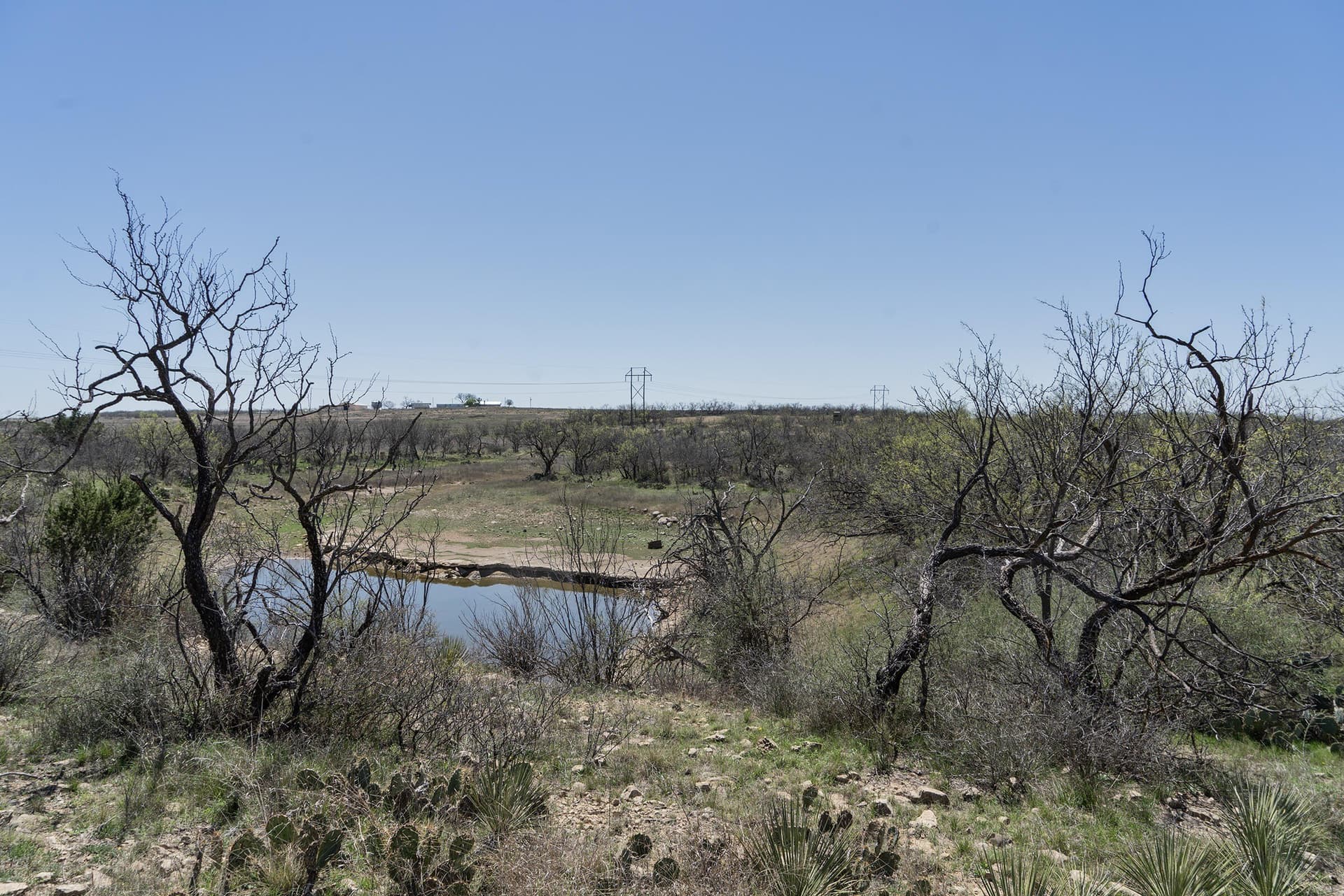 96.93 acres in Runnels County