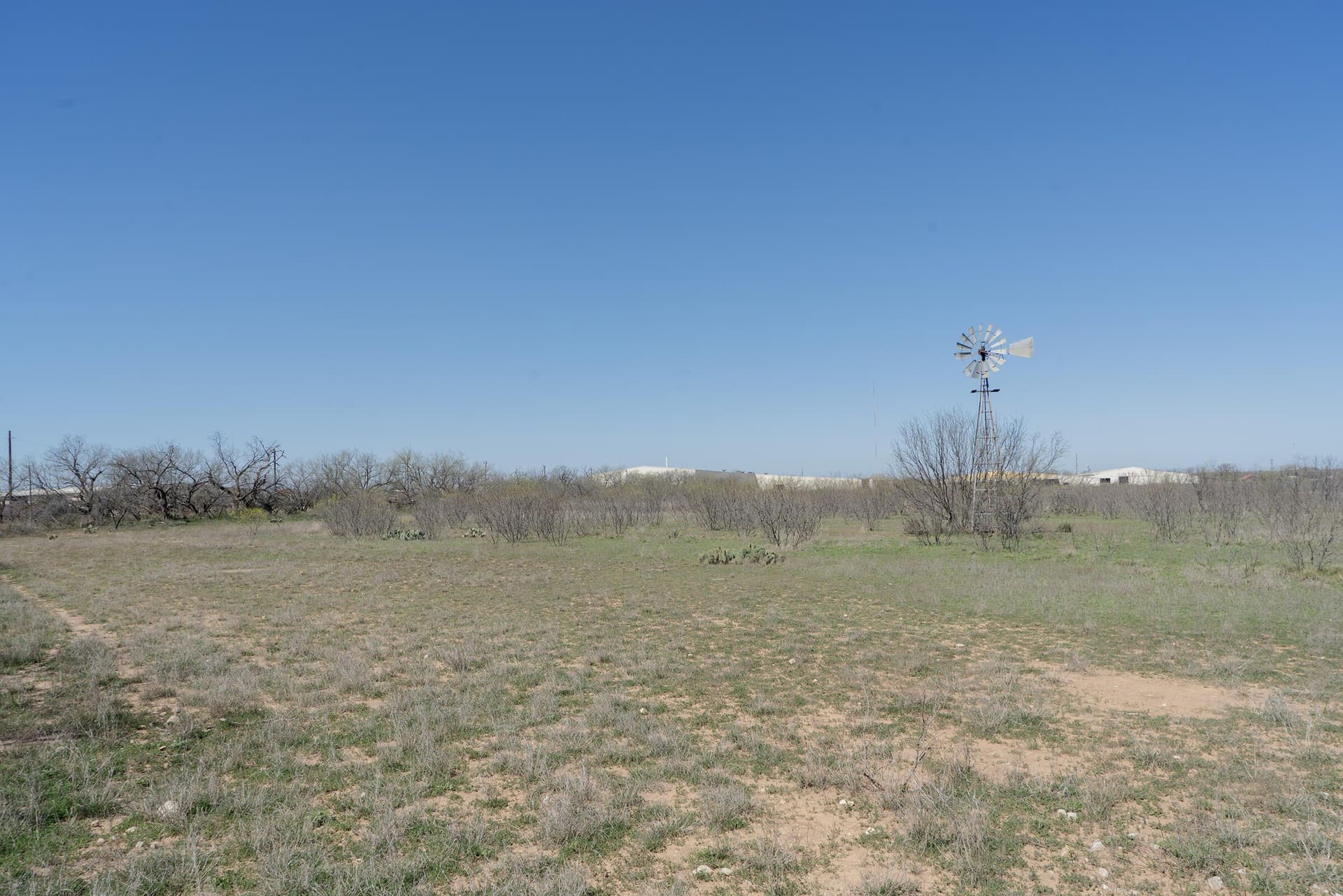 96.93 acres in Runnels County gallery image 2