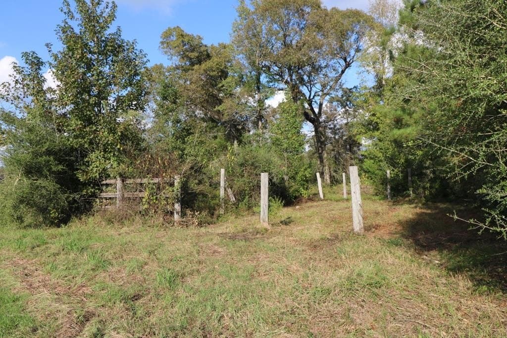 45.44 acres in Texas County - photo 14