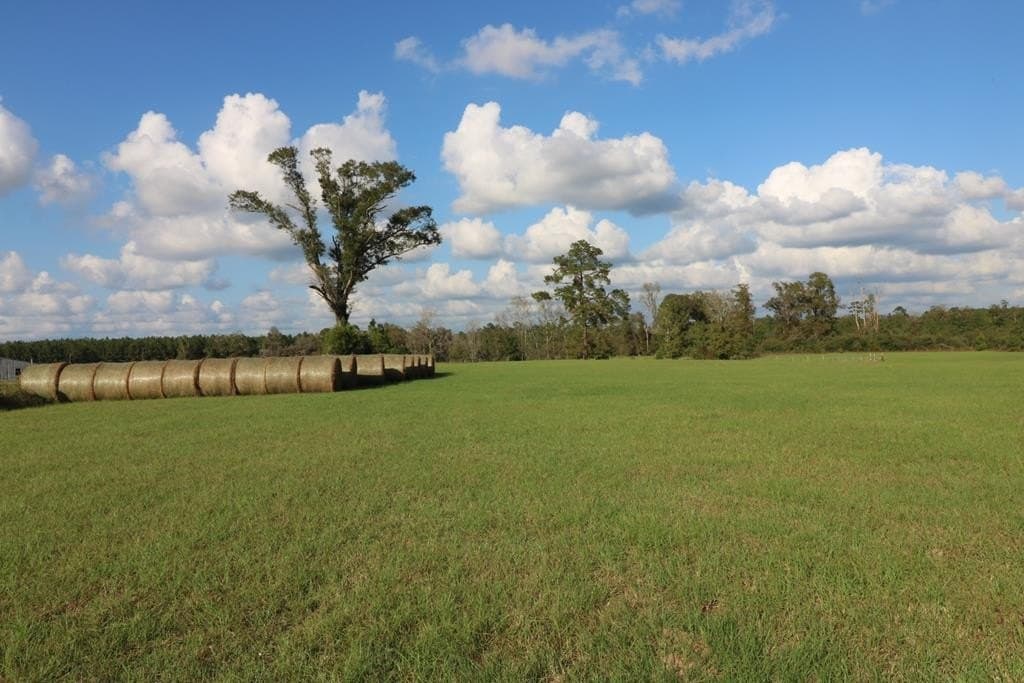 45.44 acres in Texas County - photo 20
