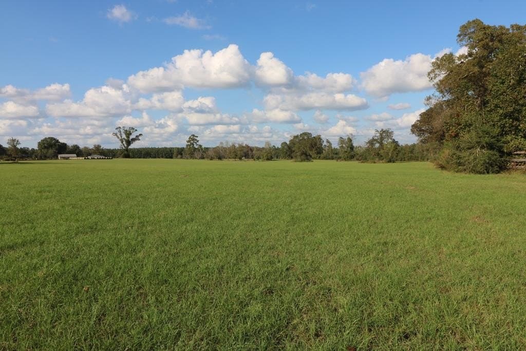 45.44 acres in Texas County - photo 15