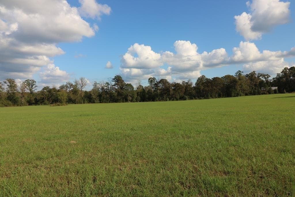 45.44 acres in Texas County - photo 22