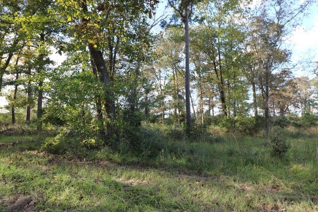 45.44 acres in Texas County - photo 11