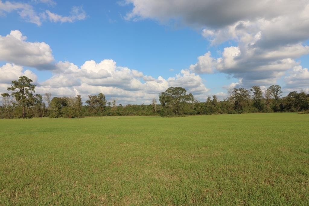 45.44 acres in Texas County - photo 21