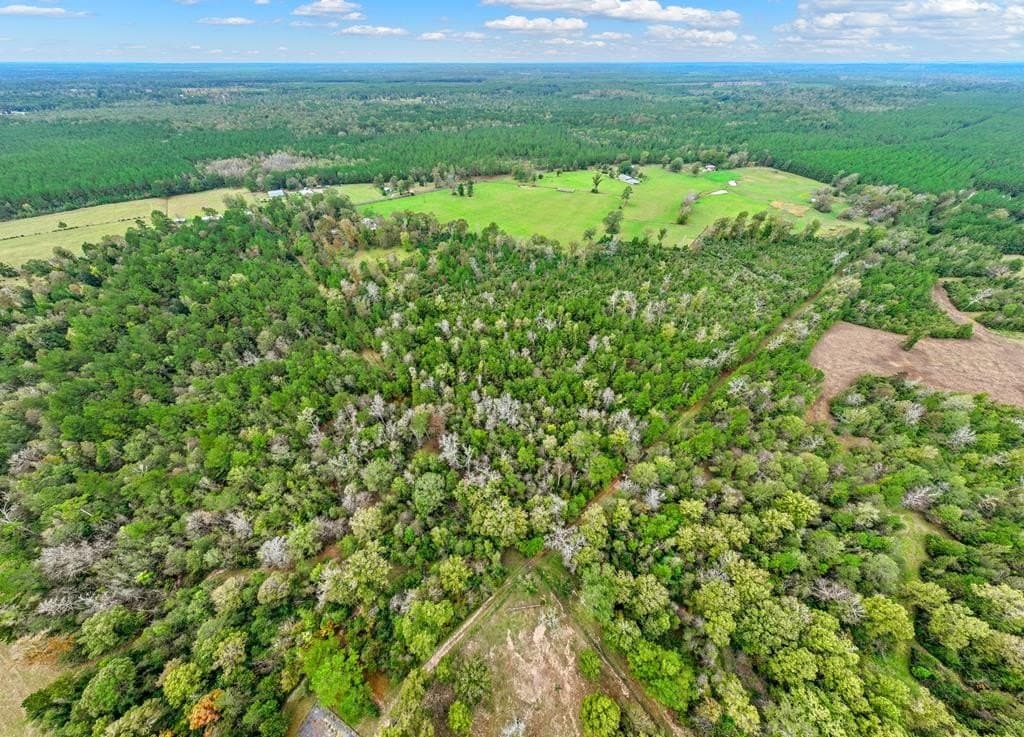 45.44 acres in Texas County - photo 27