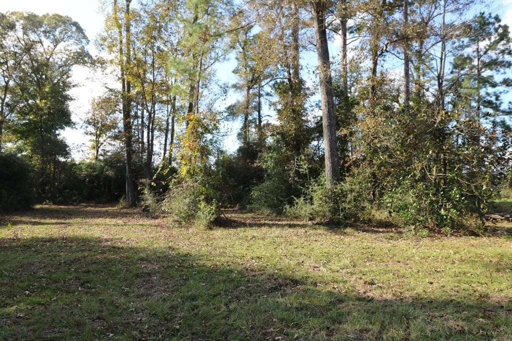 45.44 acres in Texas County - photo 12