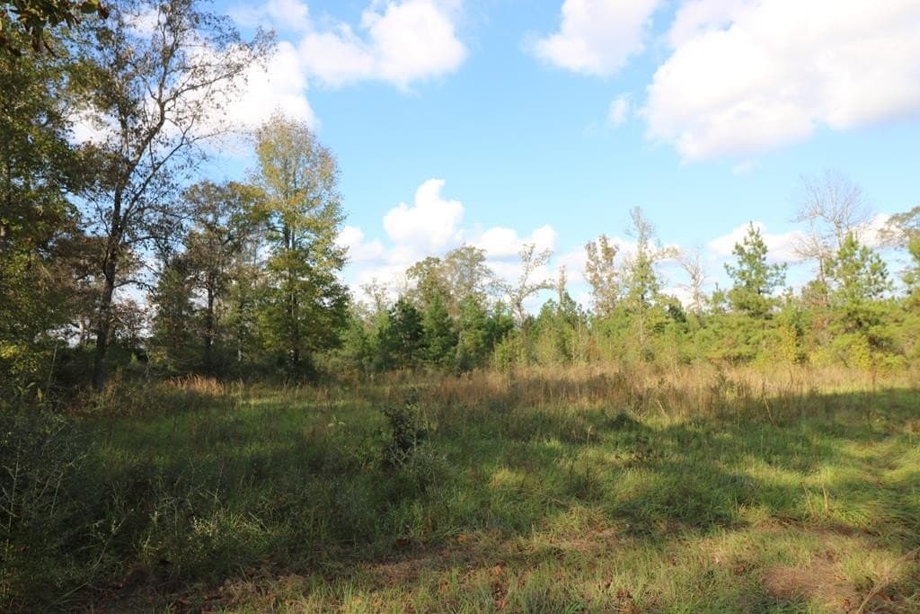 45.44 acres in Texas County - photo 10