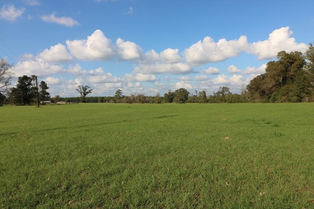 45.44 acres in Texas County - photo 16